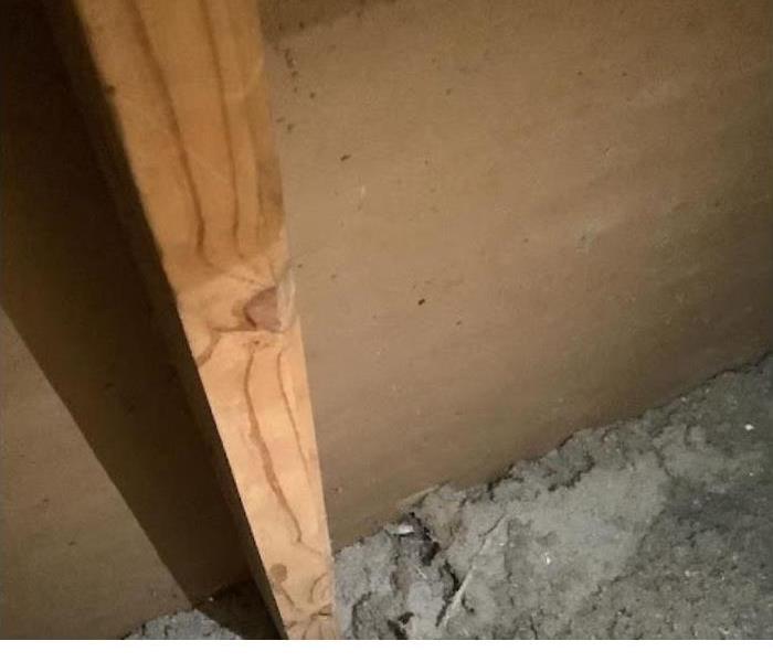 Mold Detected in Tallahassee Home