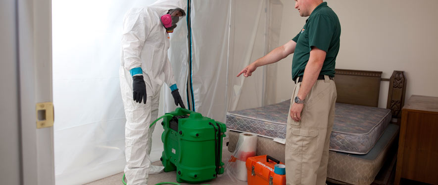 Tallahassee, FL mold removal process